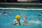 WWPolo vs CC  Wheaton College Women’s Water Polo compete in their sports inaugural match vs Connecticut College. - Photo By: KEITH NORDSTROM : Wheaton, water polo, inaugural